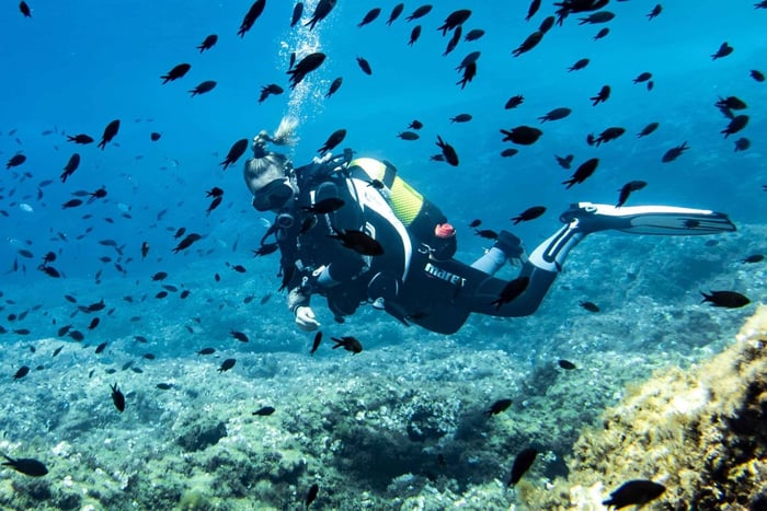 Maiorca, Alcúdia: Dip&Dive – Immersioni per principianti e snorkeling