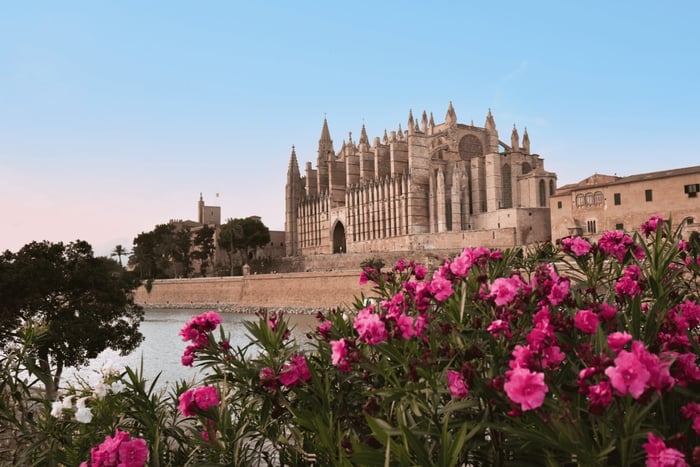 Maiorca: tour Instafamous di Palma e della costa nord