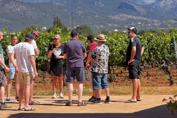 Mallorca Longevity Workshop - Il segreto della longevità a Maiorca