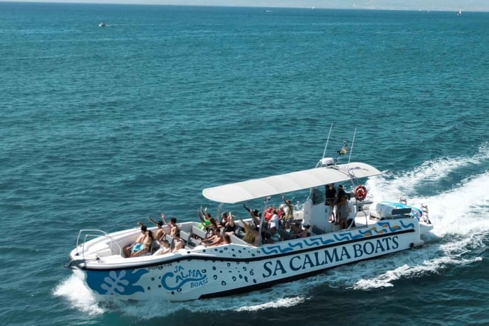 Mallorca Marine reserve: Visit caves, cliffs and snorkeling