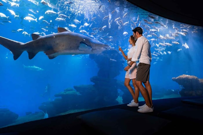 Majorque : billet d'entrée pour l'aquarium de Palma avec option cinéma 3D