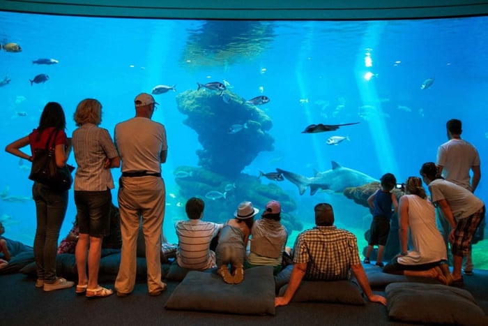 Majorque : Palma Aquarium avec transferts, guide et entrée rapide