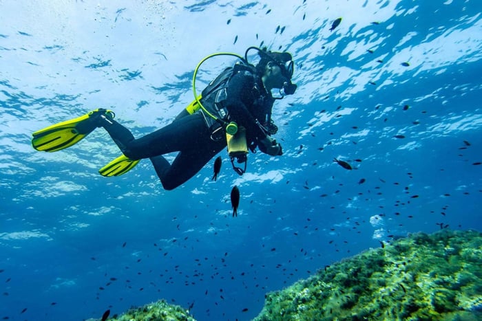 Maiorca: avventura subacquea a Cap Formentor - 1 immersione (è necessaria la licenza)
