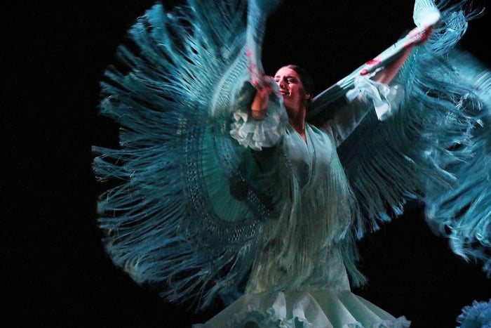 Olé tablao Flamenco Alcudia: Flamenco Show whit Live music