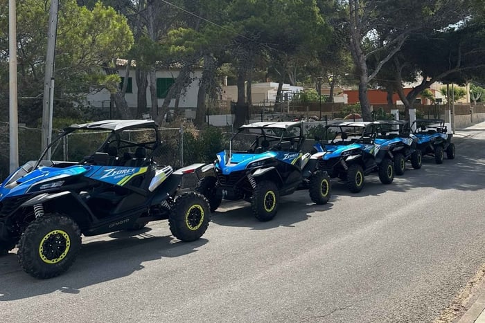Paguera: Passeio de buggy de 2 horas