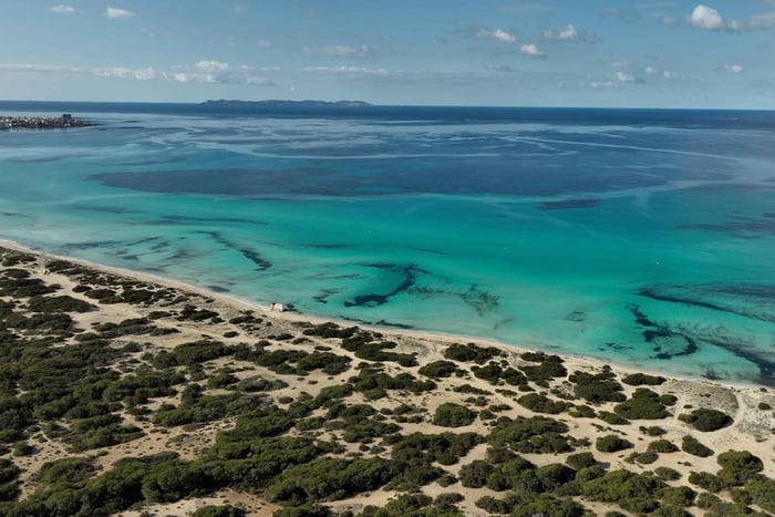 Playa de Palma: trasferimento in barca Beach Taxi sulla costa meridionale fino a Es Trenc