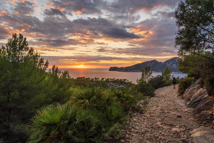 Port Andratx: Escursione al tramonto a Sant Elm