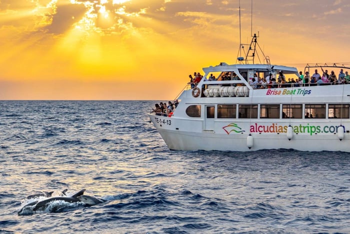 Port d'Alcudia: Sunrise at Sea & Dolphin Watching Boat Tour