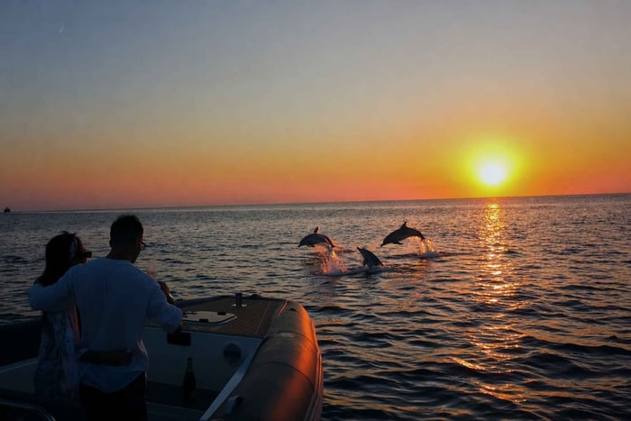 Semi-Private PREMIUM Speedboat: Dolphin and Cave Tour with Pick-up Included