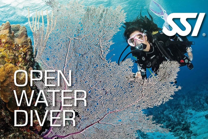 SSI Open Water Diver Course in Mallorca