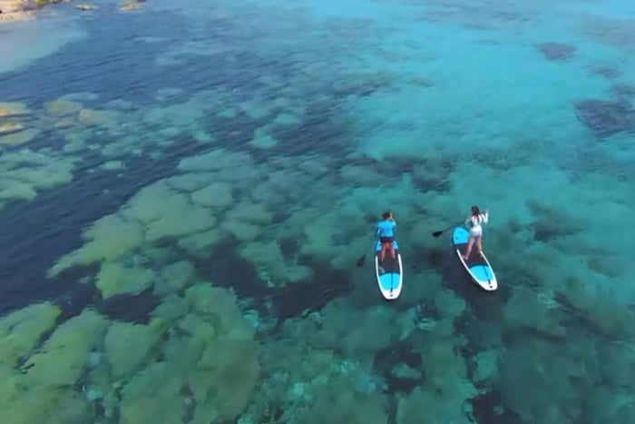 Экскурсия для начинающих по Stand Up Paddle Cala Bona/S'Illot/