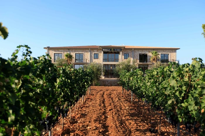 tour por la bodega Vi Rei y cata de vino