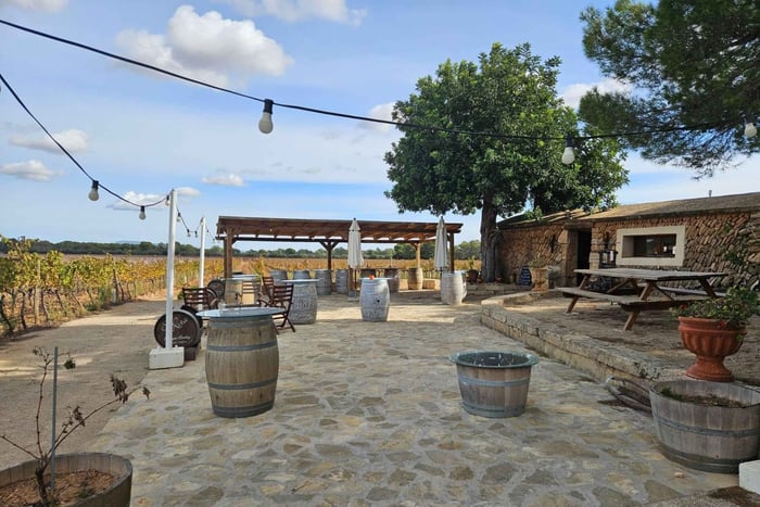 BESØG BODEGAS BORDOY, SMAGNING AF 5 VINE, FINGERFOOD