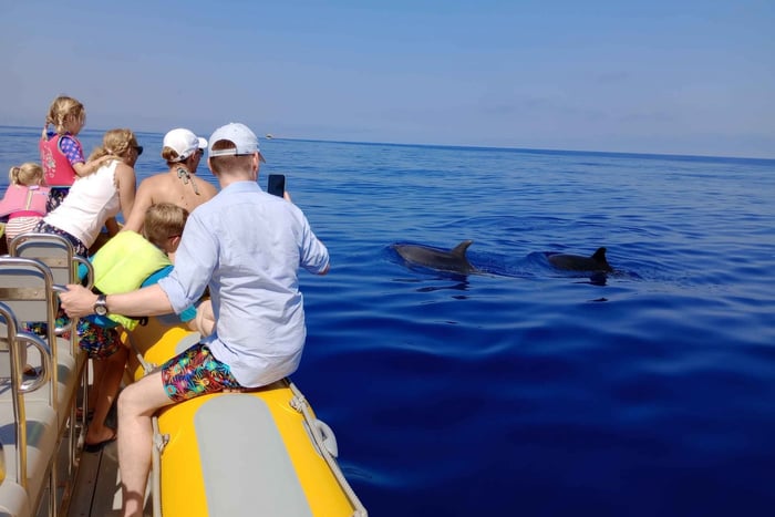 Can Picafort: passeio de barco para observação de golfinhos, paragem para nadar