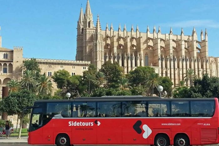 Gemeinsamer One-Way-Transfer zum Flughafen Palma