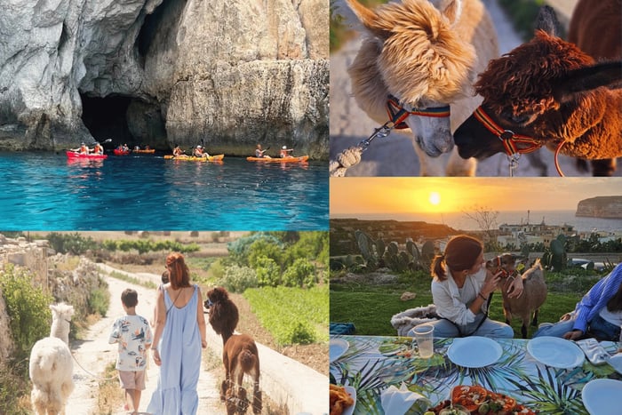 Gozo: Sjov dag: Kajaktur + alpakavandring og picnic ved solnedgang