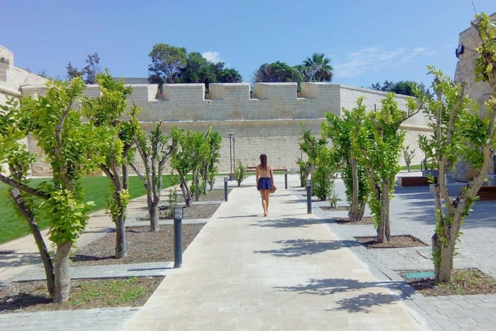 Privat stadsvandring i Mdina