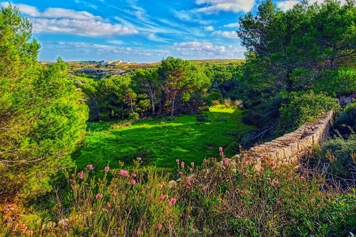 Hoogtepunten van de natuur Privé wandeltour met vervoer