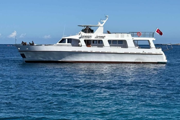 Round Malta Boat Trip – Discover the Island from the Sea