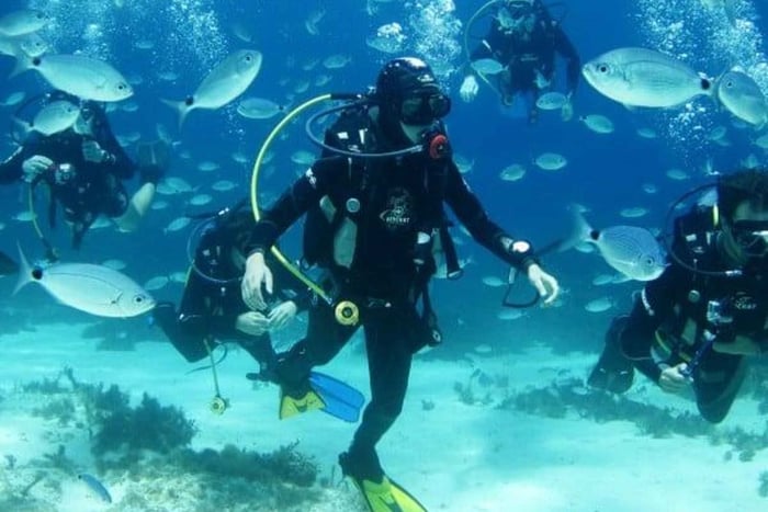 Sliema: prueba el buceo con SSI para principiantes