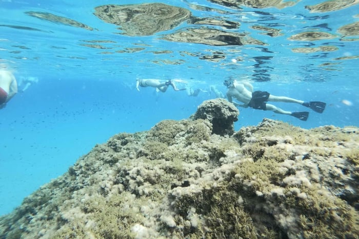 Wycieczka snorkelingowa