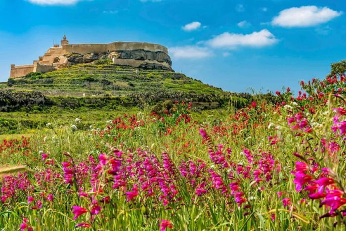 Z Malty: Gozo: całodniowa wycieczka z przewodnikiem, świątyniami i pociągiem