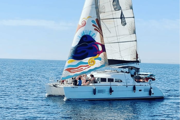 Marbella: Group Dolphin Watching Catamaran Tour with Drinks