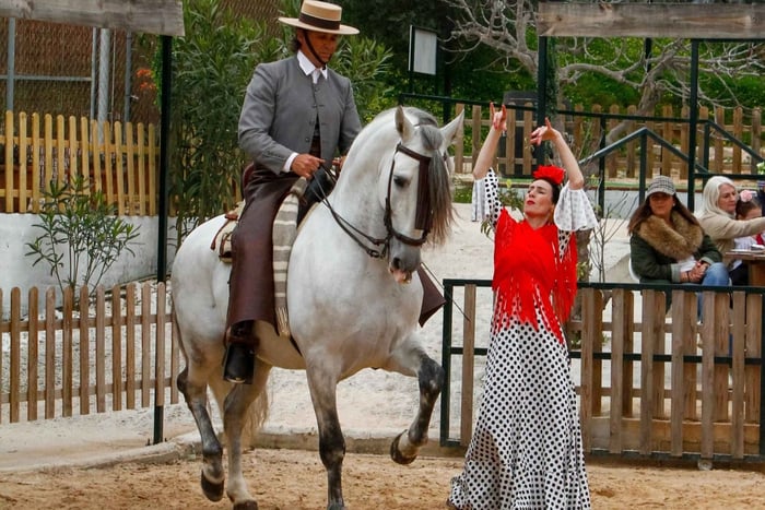 Mijas: Spansk heste- og flamenco-fusion – middagopplevelse