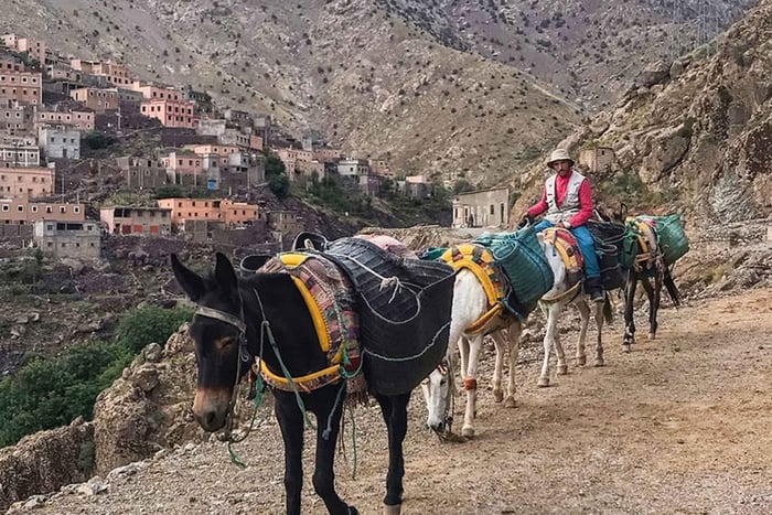 Fra Dagstur til Atlasbjergene og Imlil med muldyrsridning
