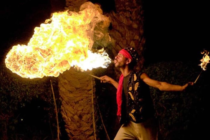 Camel Ride, Dinner Show & Argan Oil