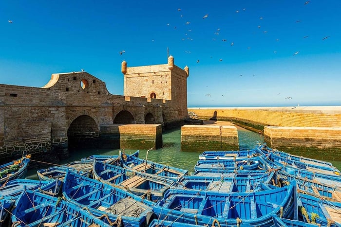 Escursione di un giorno a Essaouira da Marrakech con guida