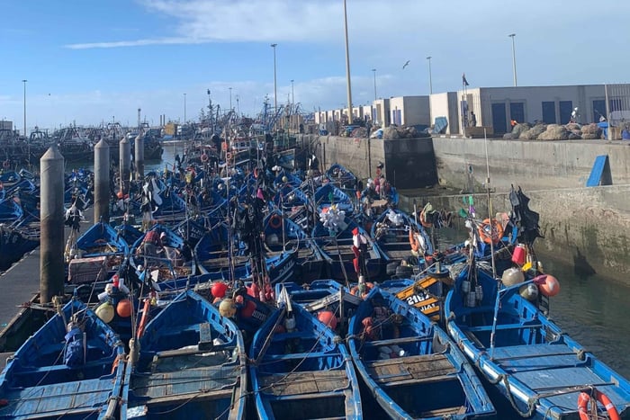 Essaouira City & old Town day Trip from Marrakech