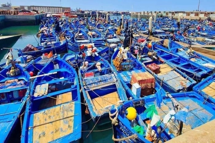 Depuis Marrakech : visite de luxe d'une journée à Essaouira en groupe