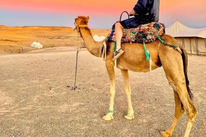 Vanuit Marrakech: Agafay woestijndiner met quad- en kamelentocht