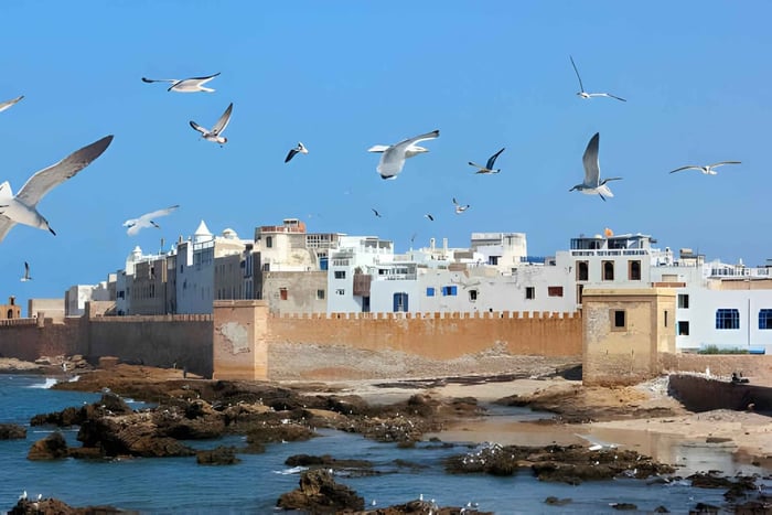 Fra Marrakech: Essaouira privat heldagstur