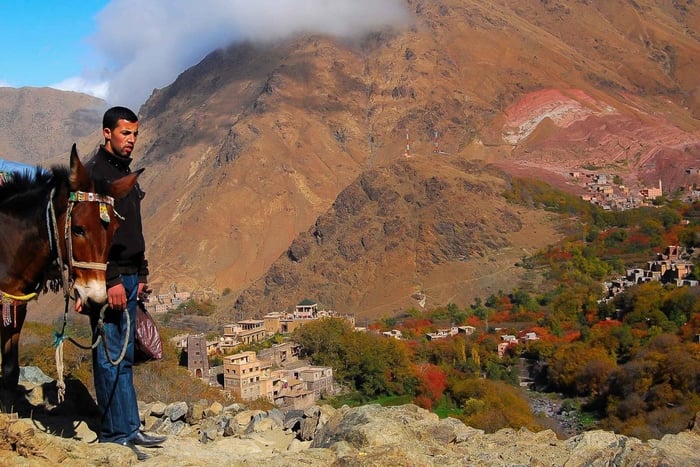 Von Marrakech aus: Ganztagestour mit Berbern im Atlasgebirge