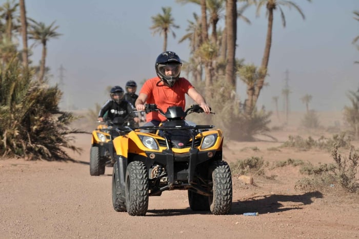 Marrakech: ATV-udflugt i Oasis palme og Jbilat-ørken, te