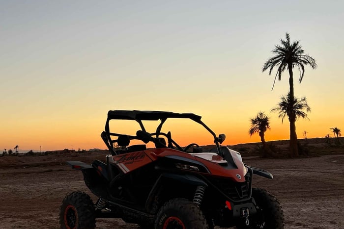 Marrakech: Buggy-tur i palmelunden ved solnedgang