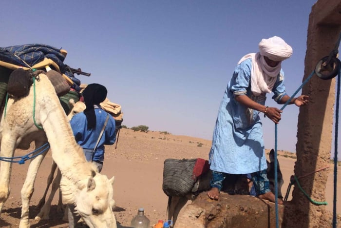 Mhamid: Erlebe die Route der alten Karawanen in der Sahara