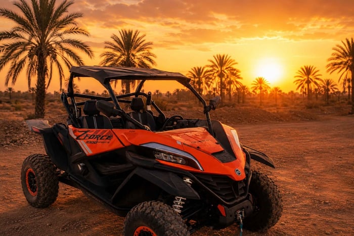 Passeio Particular de Buggy no Palmeiral com Serviço de Busca no Hotel
