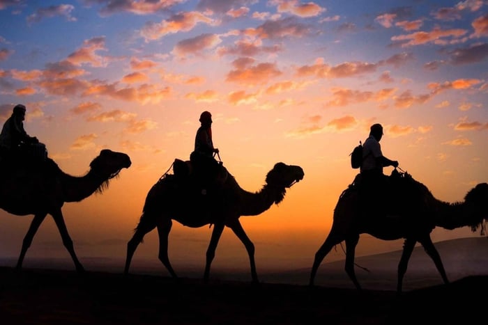 Marrakesch: 3-tägige Premium-Tour in die Zagora-Wüste mit Kamelen und Kasbahs