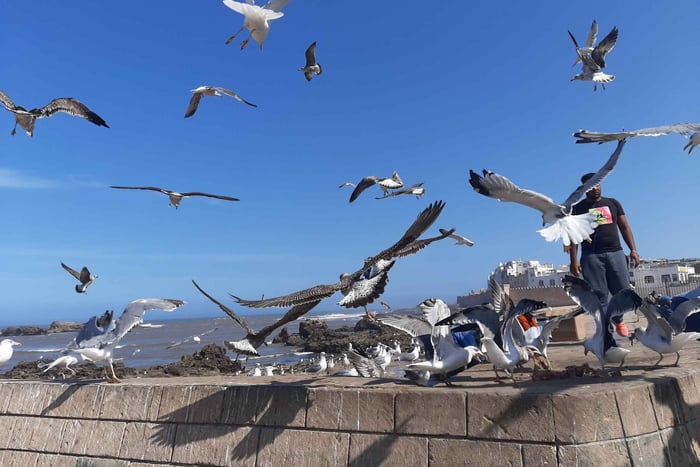 Privat dagsutflykt från Marrakech med vinprovning