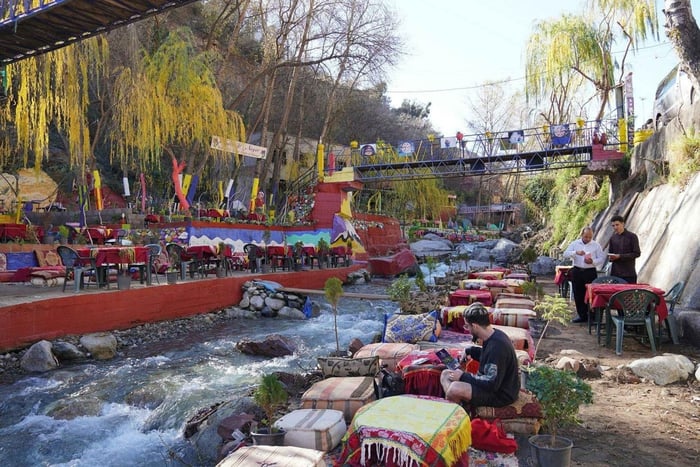 Private Day Trip to Ourika Valley: Waterfalls & Guided Tour