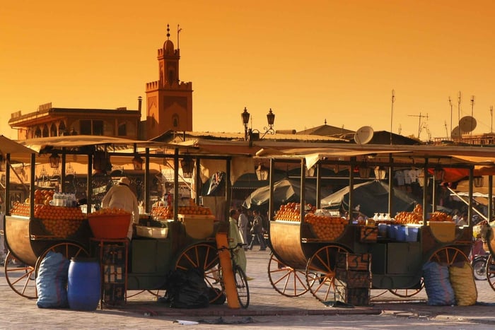Tour privato: Tour di mezza giornata panoramico di Marrakech