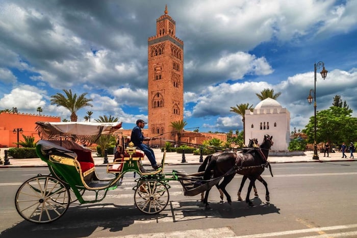 Marrakech : patrimoine royal, palais, calèche et Dar El Bacha