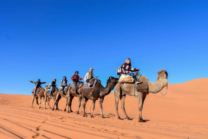 Von Fes: 3 Tage und 2 Nächte Wüstentour nach Marrakesch