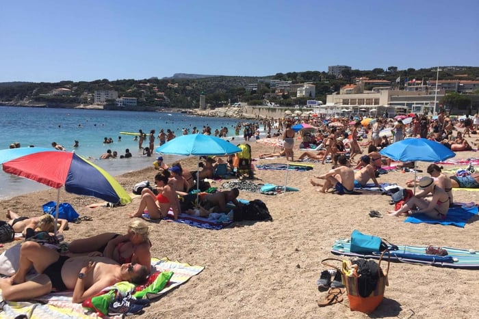 Cassis, Bandol, Le Castellet wijntour: Kliffen en wijngaarden