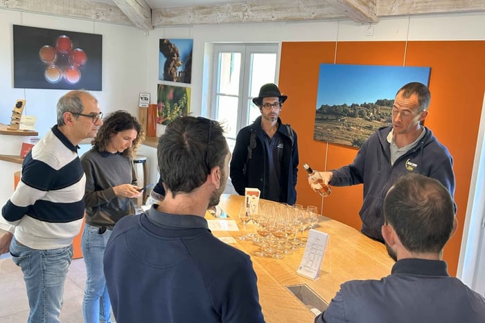 Fra Aix en Provence: Bandol og Cassis heldags vintur