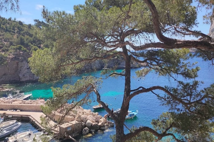 Marseille, Aix-en-Provence og Cassis 7-timers tur