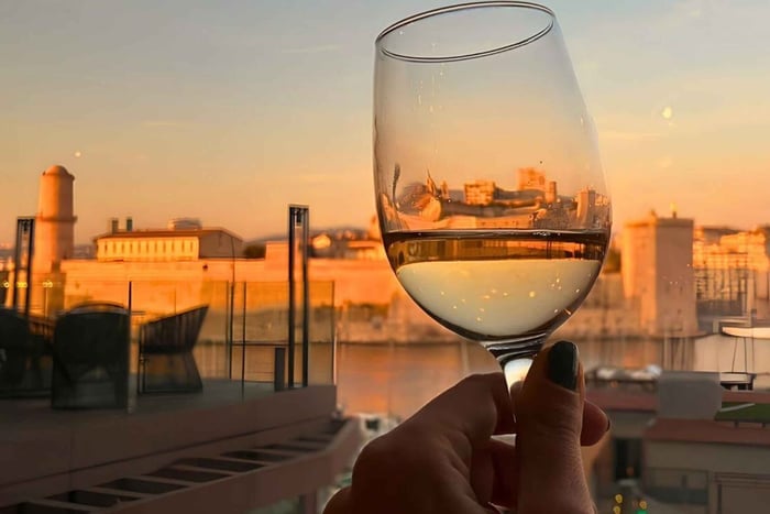 Panoramic Provence Wine Tasting at 5* hotel